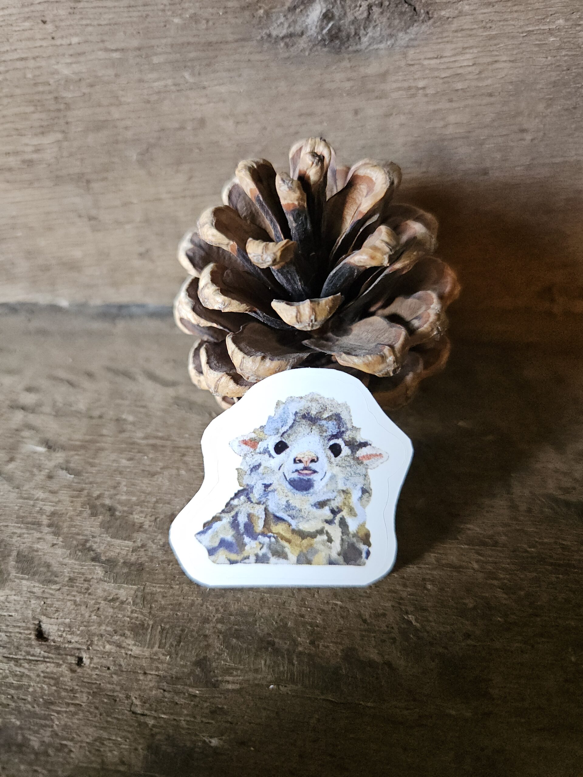 Sheep (sticker)