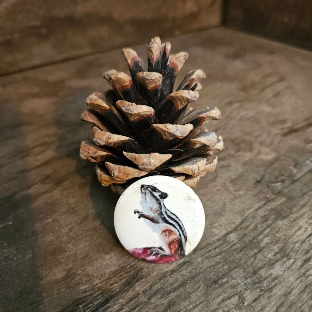 A Squirrel's View (button)