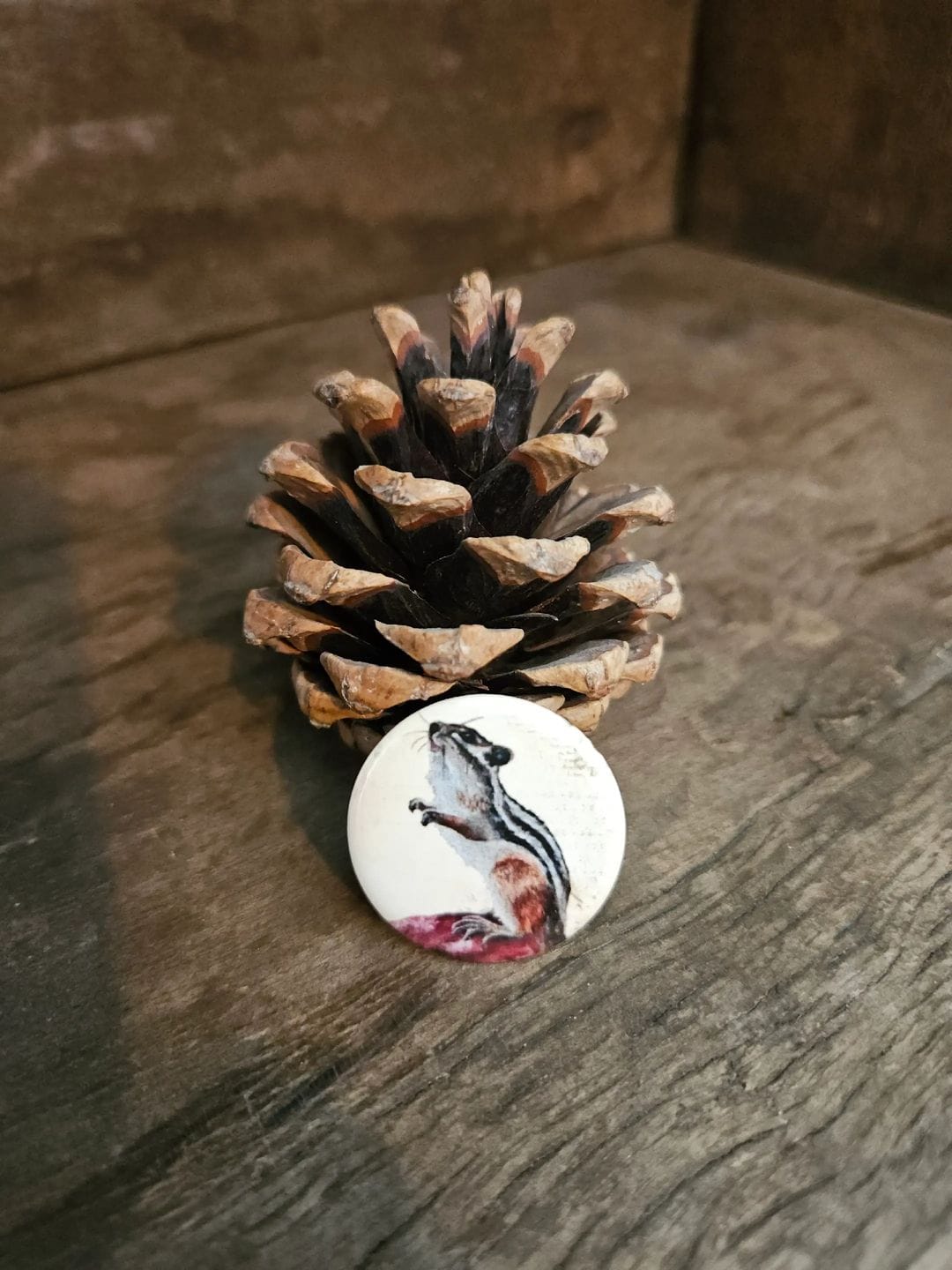 A Squirrel's View (button)