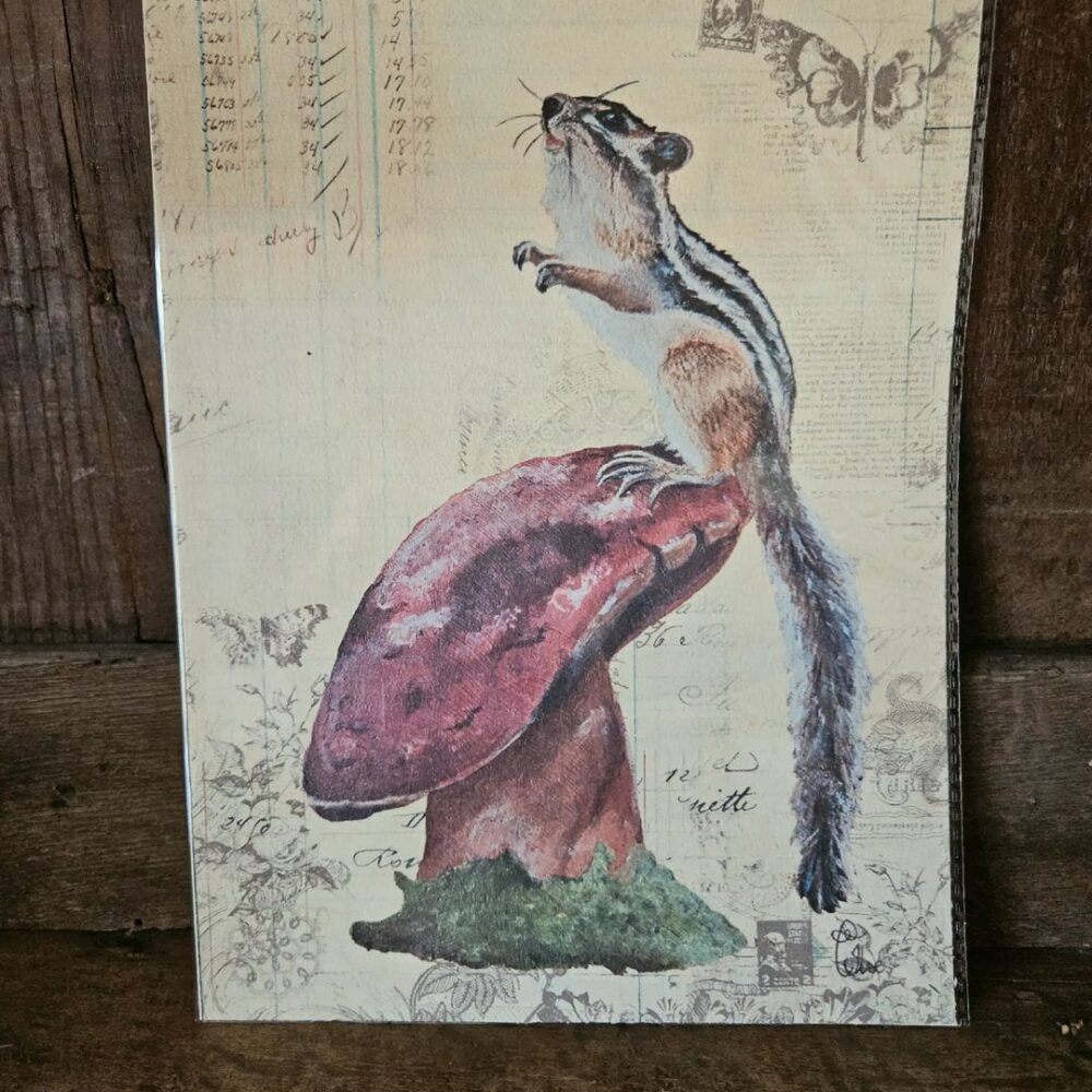 A Squirrel's View (25x20 print)