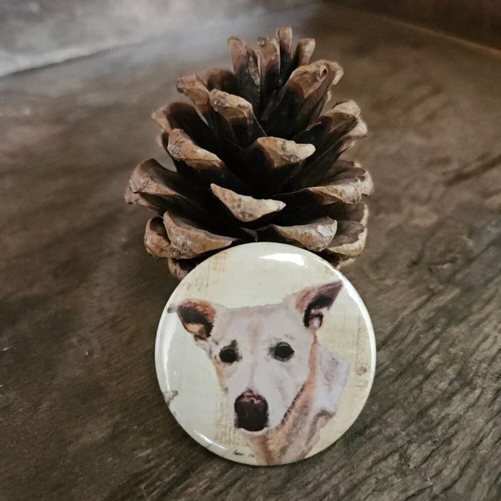 Indie (big button)