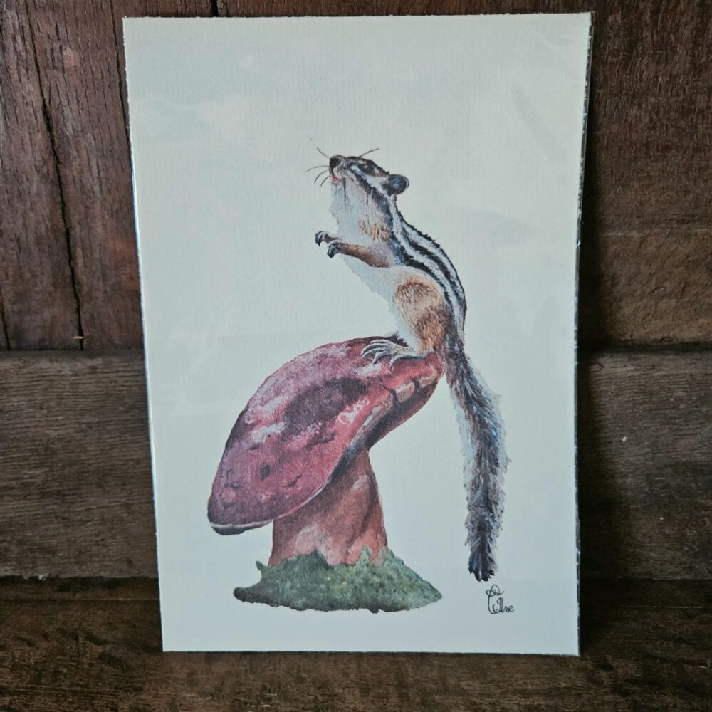 A Squirrel's View (print 13×18)