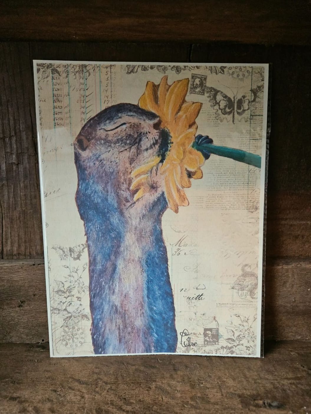 Ground Squirrel (25x20 print)
