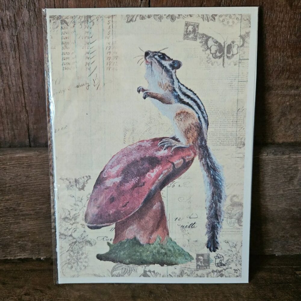 A squirrel's View (kaart 13x18)